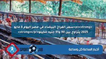 <p><strong>سعر الفراخ البيضاء في مصر اليوم 6 مايو 2025 يتراوح بين 90 و91 جنيه للكيلو</strong></p>